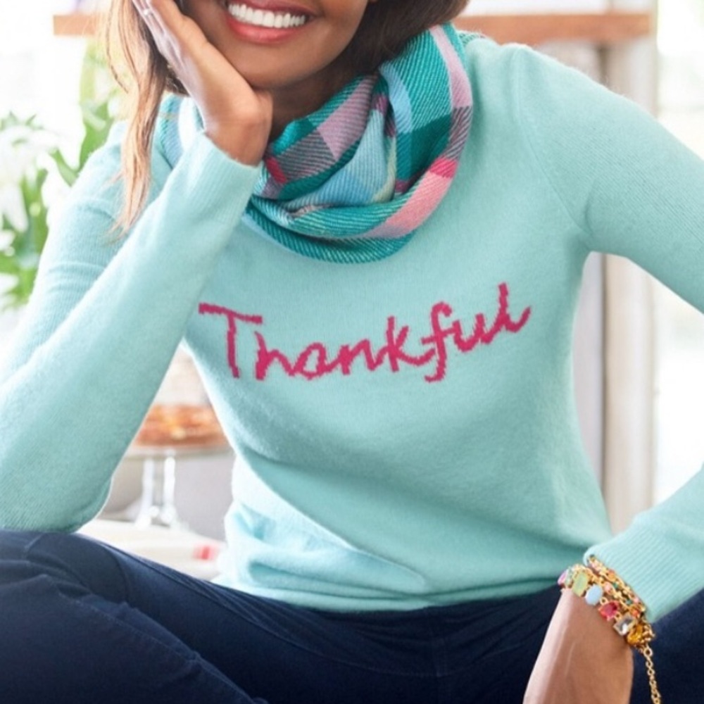 🤩Talbots “Thankful” Seafoam Sweater!